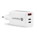 Ładowarka USB/USB-C QC4+ 65W technologia GaN Biała EverActive