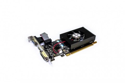 Karta graficzna GeForce GT 610 1GB DDR3 64Bit DVI HDMI VGA LP FAN AFOX