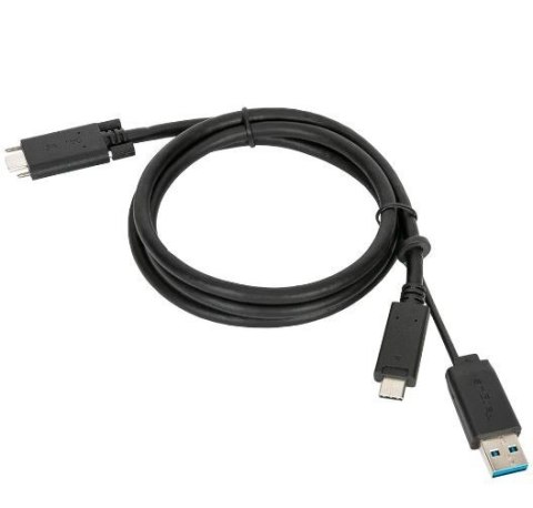 Stacja dokująca USB-C Universal DV4K DS with 100W PD Targus
