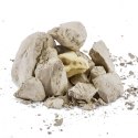 Skamieniałe jajo Dinozaura ZURU Robo Alive