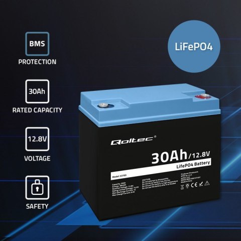Akumulator LiFePO4 Litowo-Żelazowo-Fosforanowy | 12.8V | 30Ah | 384Wh | BMS Qoltec