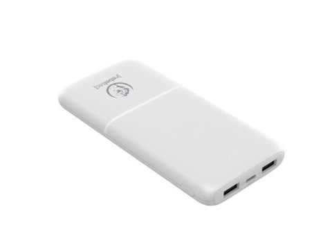 Powerbank P10 (10 000 mAh 10W) Rebeltec Powerbank P10 (10 000 mAh 10W) Rebeltec