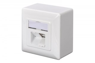 Gniazdo natynkowe kat.6A 2xRJ45 Ekranowane Digitus