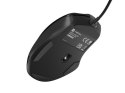 Mysz Pigeon 2 4000 DPI 1.8m Czarna Natec