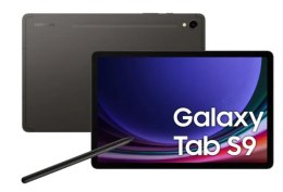 Tablet Galaxy Tab S9 X716 5G 11 cali 12/256 GB Gray Samsung