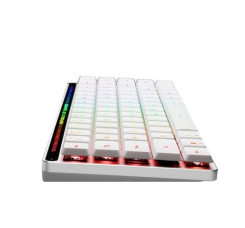 Klawiatura ROG Falchion RX Low Profile BT/2.4GHz/USB Asus Klawiatura ROG Falchion RX Low Profile BT/2.4GHz/USB Asus