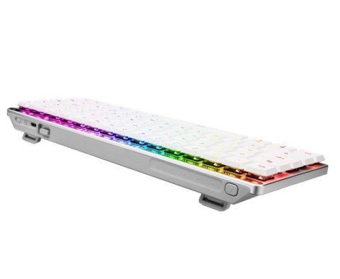 Klawiatura ROG Falchion RX Low Profile BT/2.4GHz/USB Asus Klawiatura ROG Falchion RX Low Profile BT/2.4GHz/USB Asus