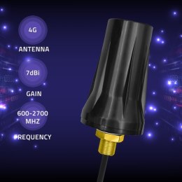 Antena 4G LTE DUAL | 7dBi | dookólna | Zewnętrzna Qoltec