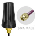 Antena 4G LTE DUAL | 7dBi | dookólna | Zewnętrzna Qoltec