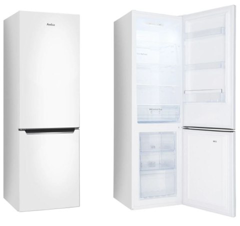 Chłodziarko-zamrażarka FK2995.2FT(E) Amica
