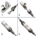 Wtyk RJ45 beznarzędziowy STP | CAT6 | JACK PIN | T568B | T568A Qoltec