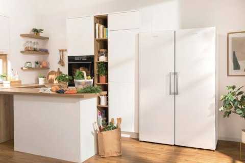 Zamrażarka FN619EEW5 Gorenje