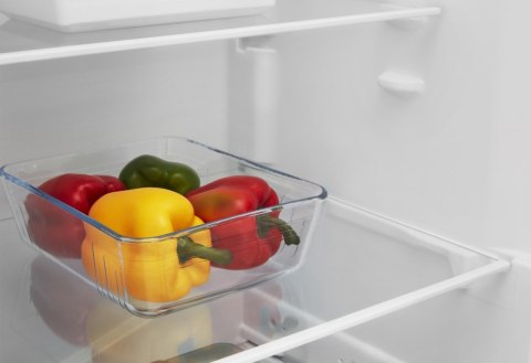 Chłodziarka SI62SEU Indesit Chłodziarka SI62SEU Indesit