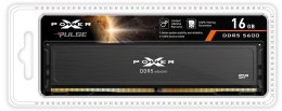 Pamięć DDR5 XPOWER Pulse 16GB/5600 1*16GB CL40 Silicon Power