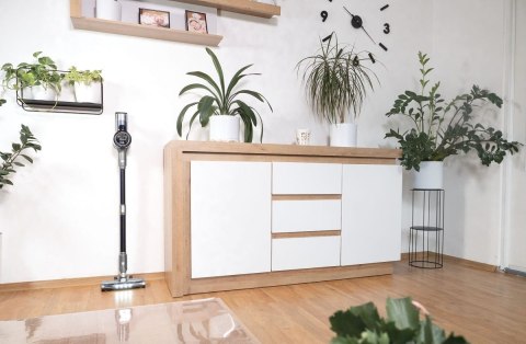 Odkurzacz pionowy akumulatorowy VP6040 Concept