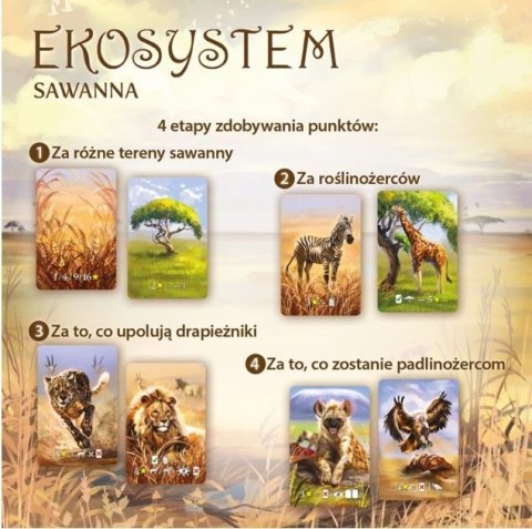 Gra Ekosystem 3 - Sawanna Nasza księgarnia
