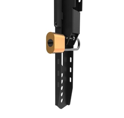 Uchwyt do monitora WL30-750BL16 Neomounts