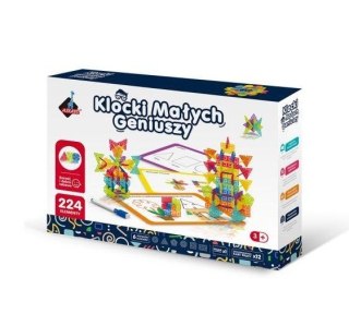 Klocki Geometryczne Śnieżynki 224 elementów ASKATO