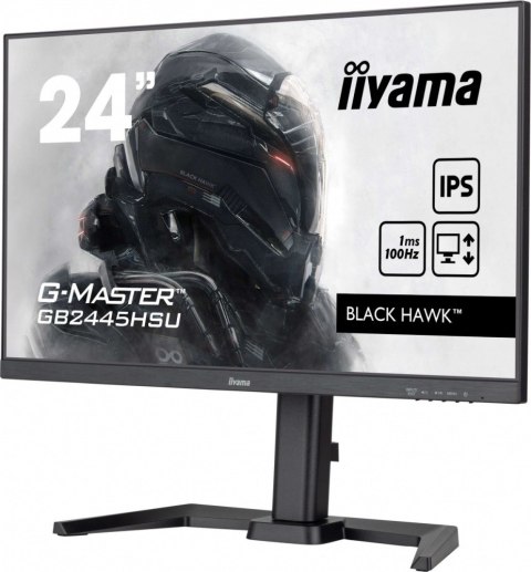 Monitor 23,8 cala GB2445HSU-B2 IPS,FHD,100Hz,1ms,2xUSB,300cd IIYAMA