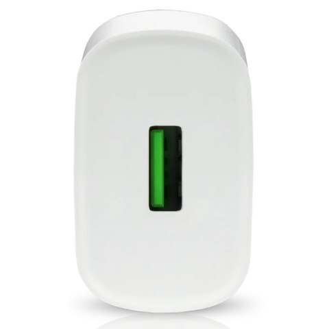 Ładowarka sieciowa 1X USB 18W QC3.0 Biała EverActive Ładowarka sieciowa 1X USB 18W QC3.0 Biała EverActive