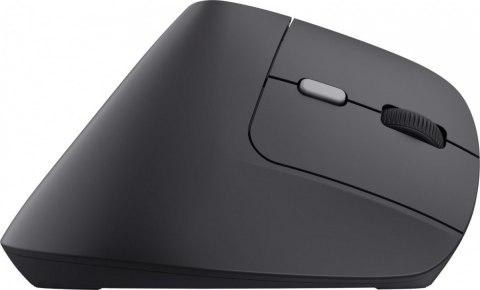 Mysz bezprzewodowa YVI TM-270 ERGONOMIC WIRELESS MOUSE Trust