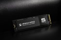 Dysk SSD IRDM PRO P54S Gen5 1TB 5x4 2280 5x4 2280 11500/9000MB/s GOODRAM