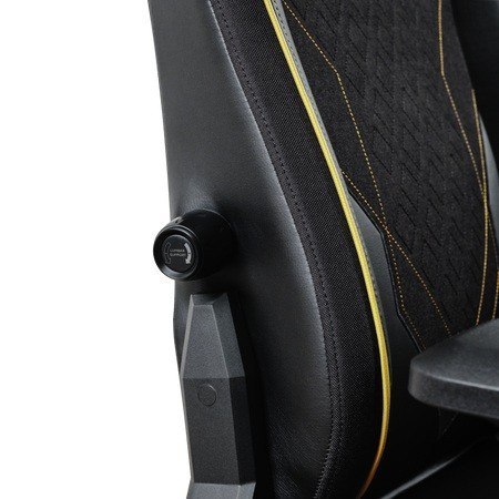 Fotel komputerowy GXT721 Ruya Pro Premium czarny Trust