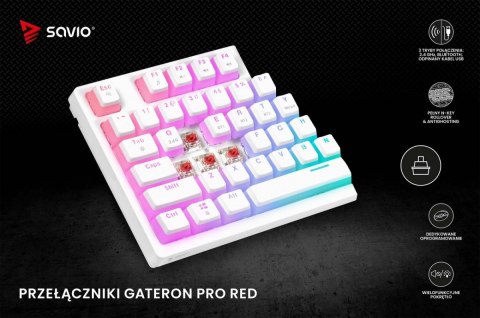 Klawiatura mechaniczna bezprzewodowa PHENIX WHITE Gateron Red Pro, Pudding Savio