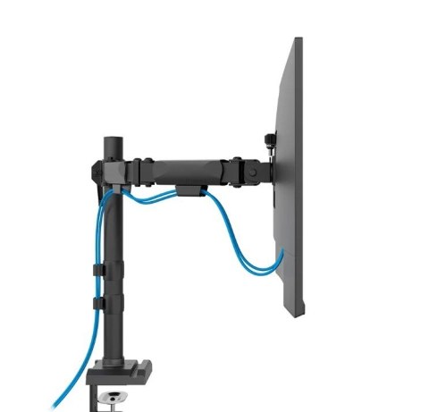 Ramię do monitora DS60-600BL2 Neomounts