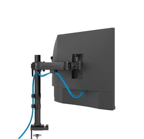 Ramię do monitora DS60-600BL3 Neomounts