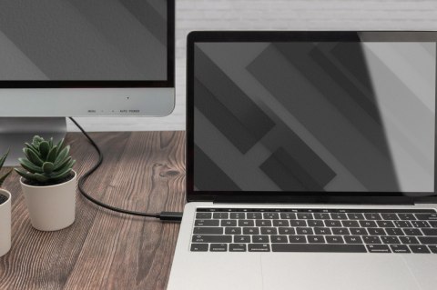 Kabel USB Type-C/HDMI M/M USB 3.1 Gen.2 SuperSpeed+ 4K/60Hz 18Gbps 2m czarny Digitus
