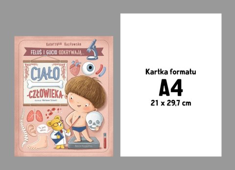 Książeczka Feluś i Gucio odkrywają... Ciało człowieka Nasza księgarnia