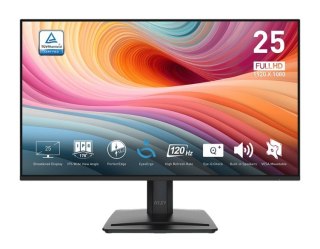 Monitor 24.5 cala PRO MP251 E2 LED/FHD/Flat/120Hz/czarny MSI