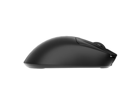 Mysz Fury TANTO T4 RGB 12000DPI bezprzewodowa czarna Natec Mysz Fury TANTO T4 RGB 12000DPI bezprzewodowa czarna Natec