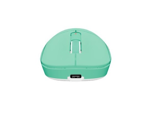 Mysz Fury TANTO T4 RGB 12000DPI bezprzewodowa miętowa