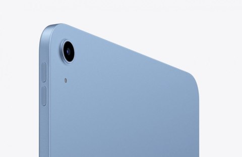 IPad WiFi + Cellular 11 cali 512 GB Niebieski