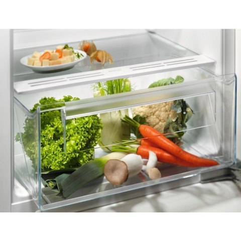 Chłodziarka LRB3AE12S Electrolux