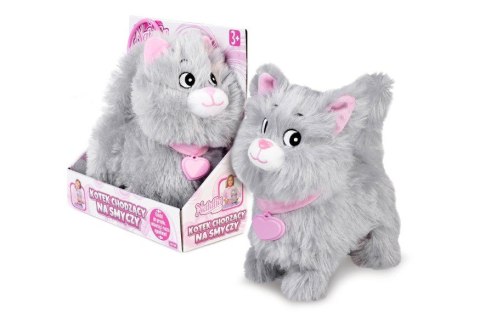 Kotek chodzący na smyczy Natalia szary