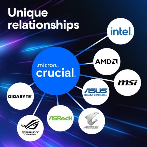 Pamięć DDR5 Pro 16GB/6000(1*16GB) CL48 Crucial Pamięć DDR5 Pro 16GB/6000(1*16GB) CL48 Crucial
