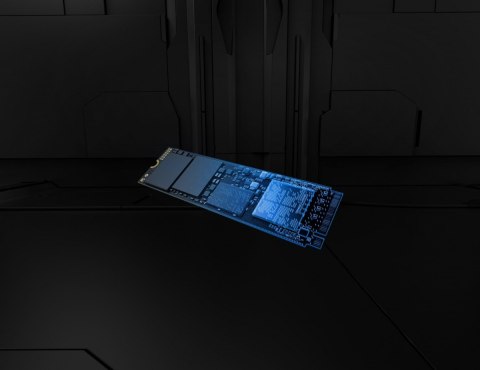 Dysk SSD Renegade G5 1TB NVMe 5.0 M.2 2280 14200/11000MB/s