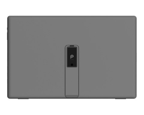Monitor 15.6 cala PRO MP161 E2U LED/FHD/Flat/60Hz/szary MSI
