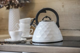 Czajnik ROSA 3L BR-7610 biały