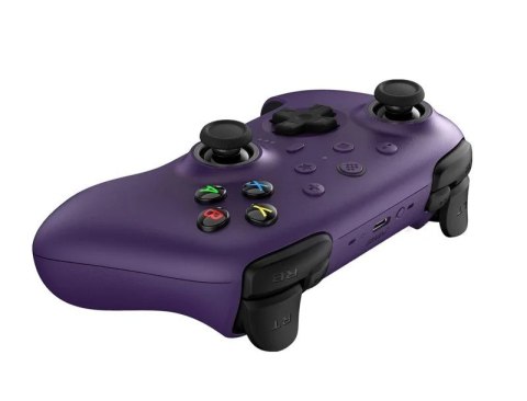 Gamepad Ultimate 2 Wirel 8BitDo Gamepad Ultimate 2 Wirel 8BitDo
