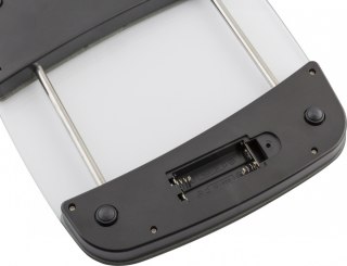 Waga kuchenna LT7071 EQUAL