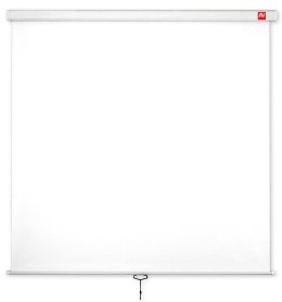 Ekran ścienny ręczny Wall Standard 200 (1:1, 200x200cm, powierzchnia biała, matowa) Avtek