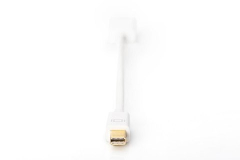 Kabel adapter Displayport 1080p 60Hz FHD Typ miniDP/HDMI A M/Ż biały 0,15m Digitus