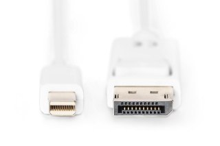 Kabel połączeniowy Displayport 4K 60Hz UHD Typ miniDP/DP M/M biały 2m Digitus