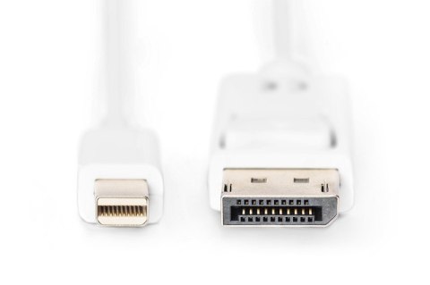 Kabel połączeniowy Displayport 4K 60Hz UHD Typ miniDP/DP M/M biały 2m Digitus