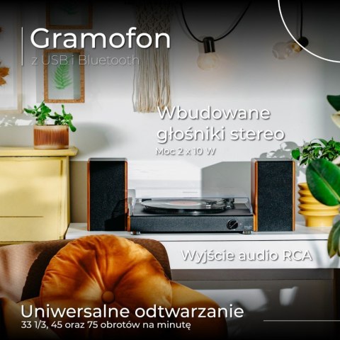 Gramofon AD1915 USB Bluetooth głośniki Adler