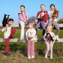 Koń na kiju Hobby Horse HOPPIHORSE A4 Leopard - biały, maść tarantowata Tootiny